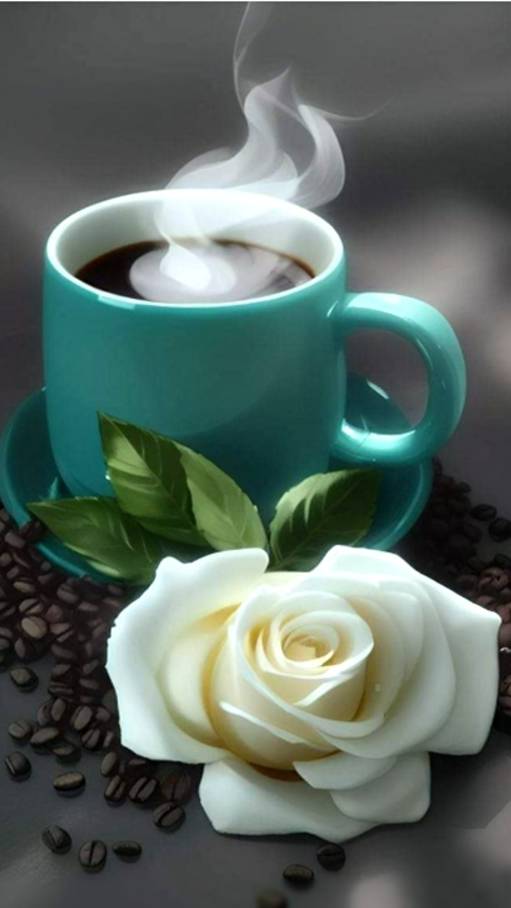 🔴 С добрым утром! 🤗🥰❤️☕🍰💕#доброеутро #доброеутрохорошегодня #всемдобра  #хорошегонастроения