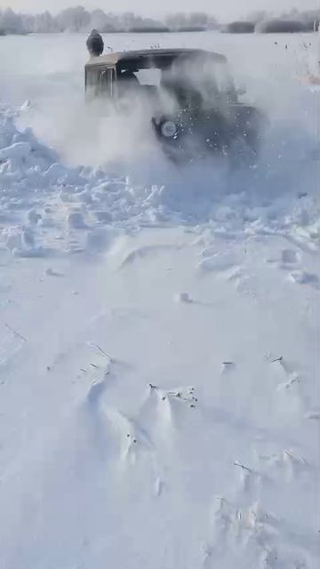 VID-20250106-WA0063