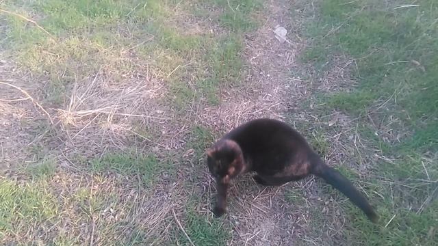 VID_20250213_164349.mp4