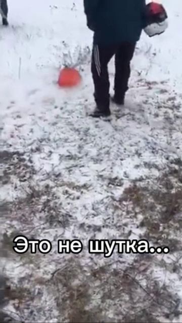 13-02-2025 пора косить траву...