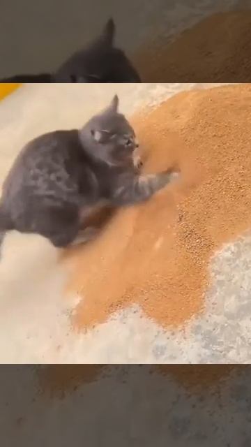 fuck you sand