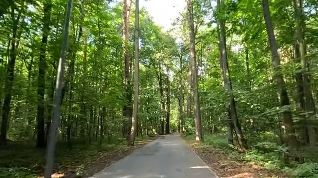 Оставшись без жилья после похорон жениха, обреченно шла на мороз… А случайно устроившись санитаркой…