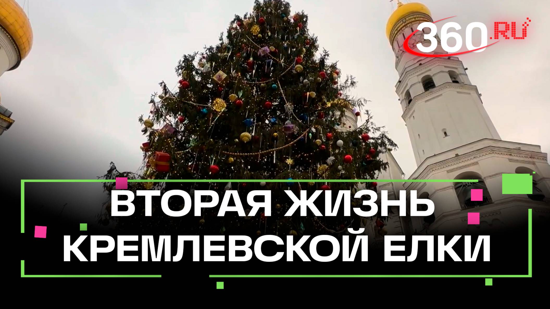 Кремлевская елка получит вторую жизнь