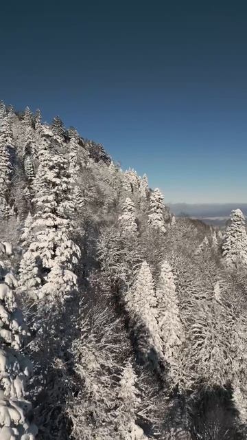 Стань частью истории! НА ВЫСОТЕ 🏔️