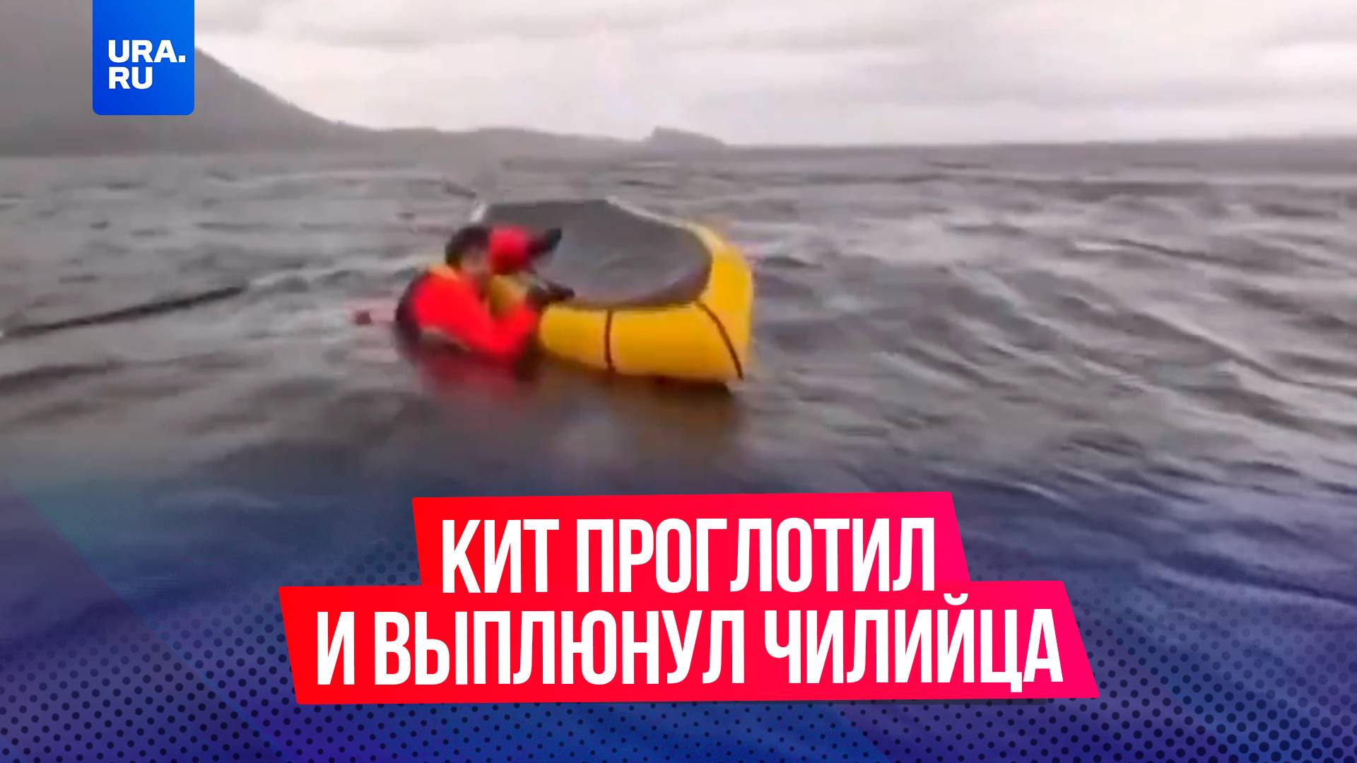 Горбатый кит проглотил и выплюнул молодого чилийца, который плавал в Магеллановом проливе