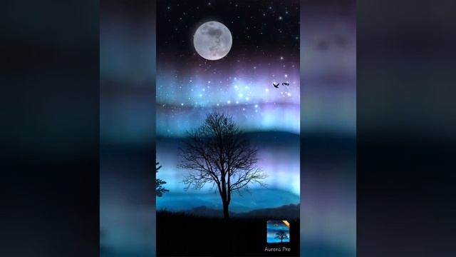 Aurora  Live Wallpaper Free And Paid Pro Version Available