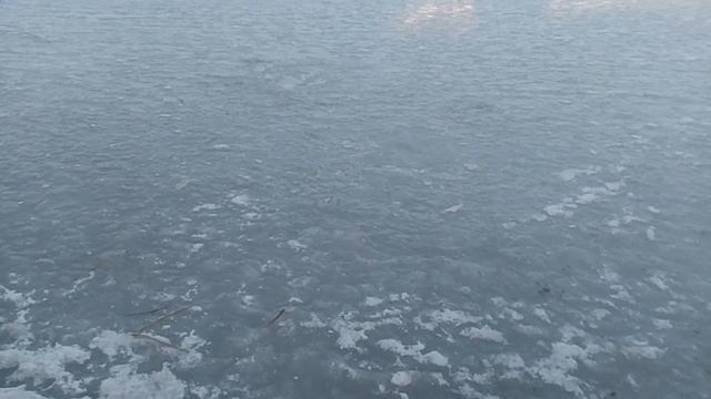 VID_20250214_165502