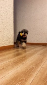 Лю Юйнин и Дайми поздравляют с Днём влюблённых 14.02.2025