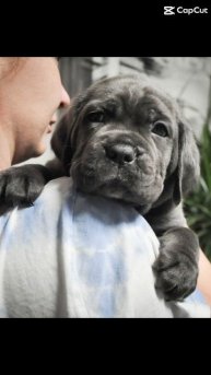 Крутая девочка