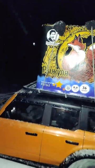 Опасный груз, сложные погодные условия и радиоуправляемый Ford Bronco VI HB Toys R1001 1/10.