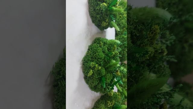 1000113953.mp4