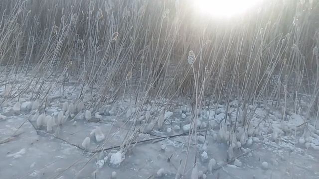 VID_20250214_163124