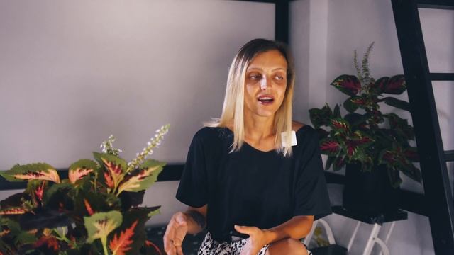 Q&A: КАК МЫ ЗАРАБАТЫВАЕМ/КАКАЯ ВИЗА/ПРИВЫКЛИ К ЖАРЕ?