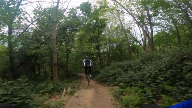 SALAMANDER DIFERENTE #pumptrack #urkabe #enduro #confinamiento