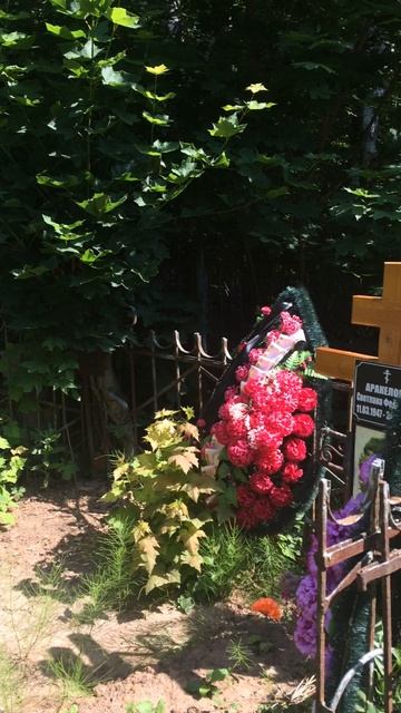 Могила Светы