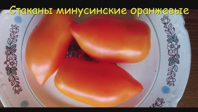 Каталог томатов 2024 г. Часть 5. Проверенные сорта.  г. Киров