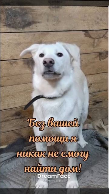 Мишку все никак не замечают