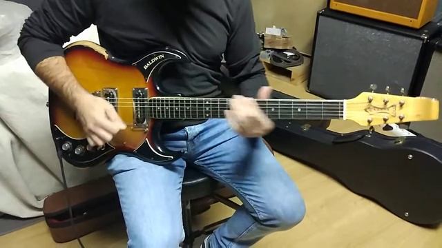 Baldwin Baby Bison Sunburst Shakin' All Over