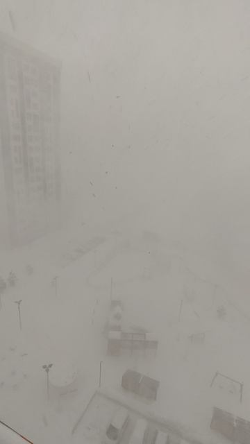 Тестовое видео 14.02.2025