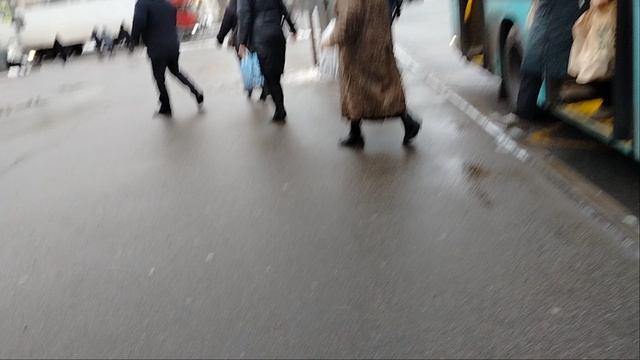 11 февраля 2025 г. Автобус 50 маршрут МАЗ-216 1536 Дунайский Проспект Угол Купчинской Улицы