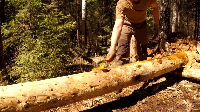 Лесные - дом под землей - землянка по всем правилам, каркас из бревен