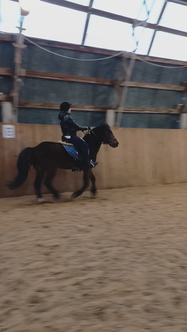 Юля и Аквилон, первый галоп. #horse #equestrian #лошади #pony