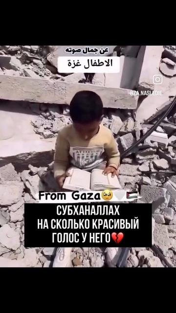 красивое чтение Корана.