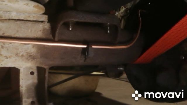 MovaviClips_Video_20250213-052918.mp4