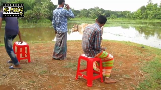 Must Watch   Funny Comedy Video 2019 |  FUNNY VINES | বাংলা ফান ভিডিও || Ep- 5