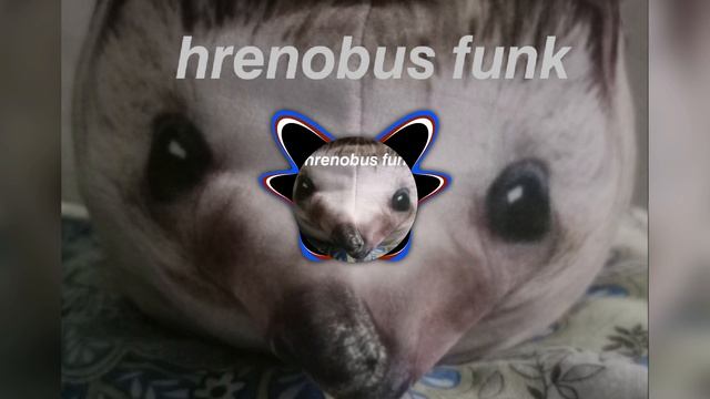 Hrenobus funk