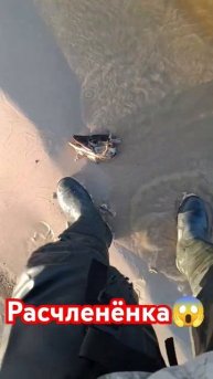 Расчленёнка