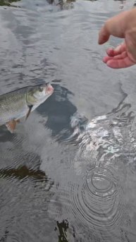 Рыбалка с гидом Spinningist63 в Самаре
https://spinningist63.ru
https://bigpike.ru