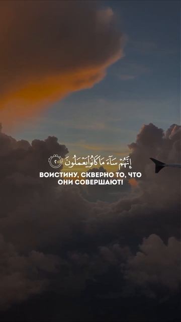 Махди аш-Шишани. Сура 63 Аль-Мунафикун