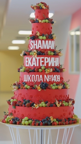 ✨SHAMAN✨ - Я ОСТАНУСЬ С ТОБОЙ🔥 (спортивный зал московской школы №1409... 03.02.2025г)