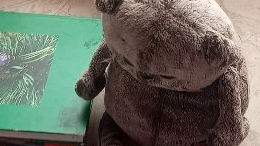 семейка Басики