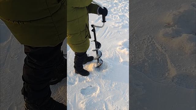 Выехали на отдых, рыбалка и самый главный рыбак!