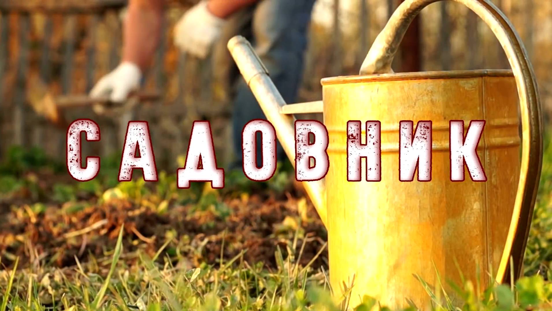 САДОВНИК! Страшные Истории На Ночь😈