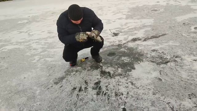 1000058541.mp4