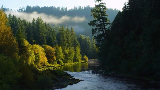4K Безмятежные звуки воды Природа для релаксации Белый шум