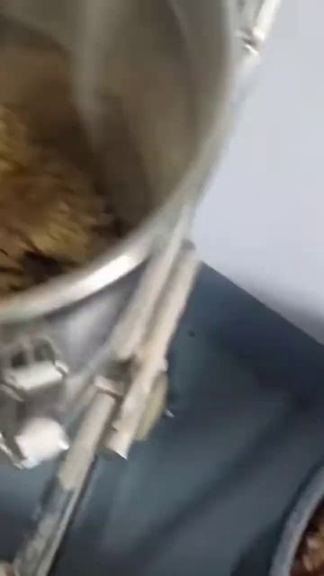 мука из чёрной львинки 2