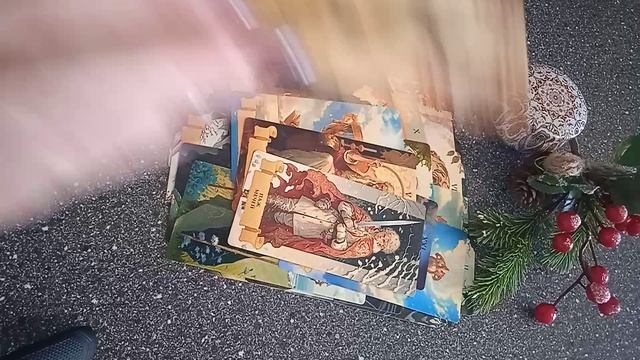 VID_20250214_124806.mp4