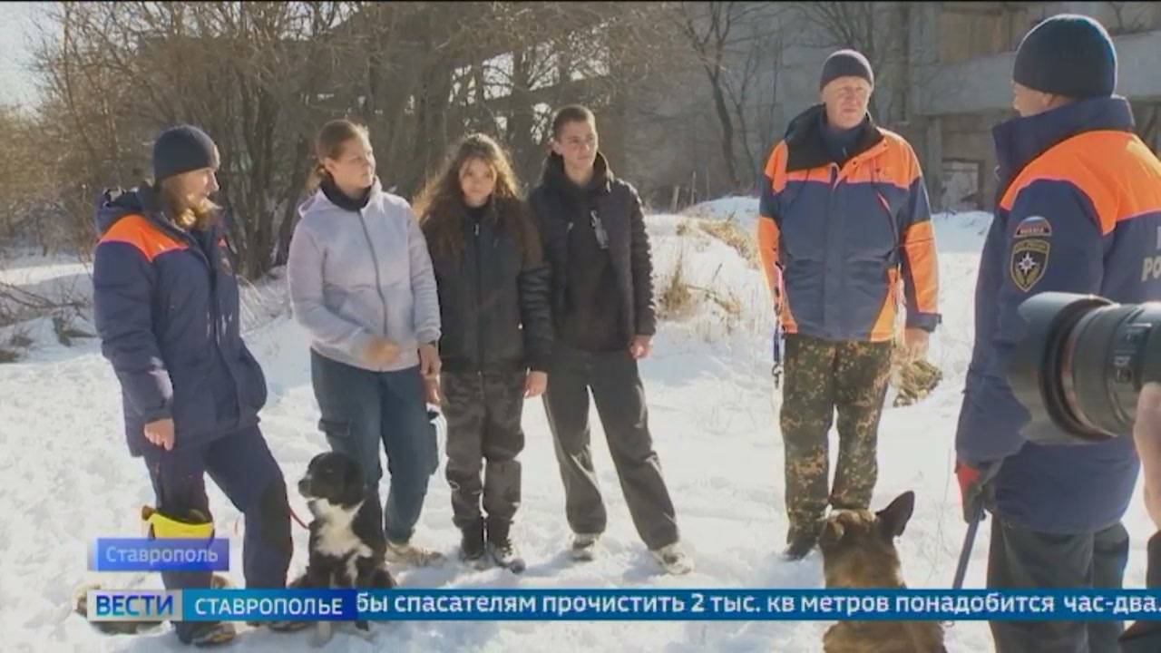 Хвостатые сотрудники приходят на помощь спасателям