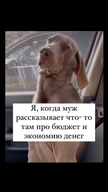 900110476_AQOv2X4Q6t0ODjuPMtPSGYwJOKnawmap6nXuZACG_ViYJAIEeFLp9