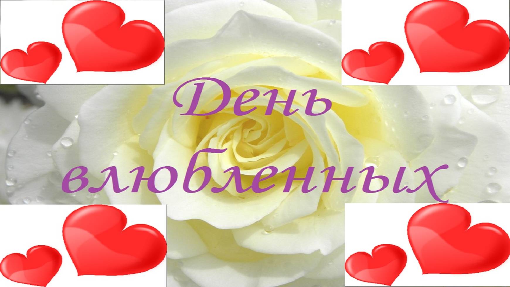 С ДНЁМ ВСЕХ ВЛЮБЛЕННЫХ!