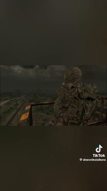 1000003828.mp4
