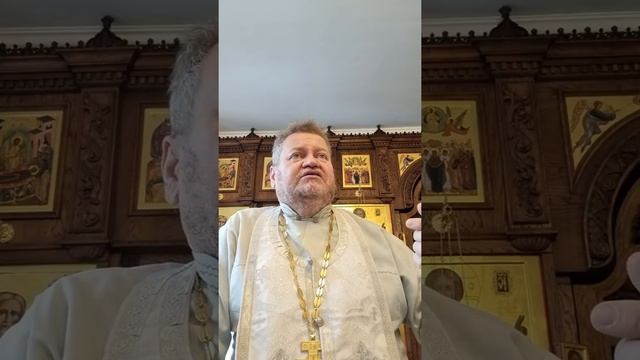 МОГ ЛИ БОГ ИНАЧЕ СПАСТИ НАС ?  Протоиерей Олег Стеняев