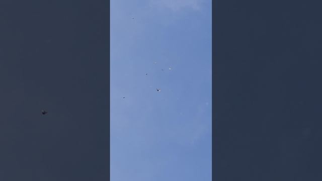 8 февраля.mp4