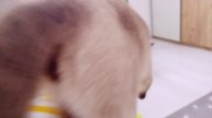 1000001905.mp4