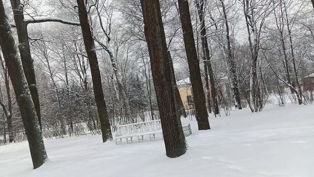 Зима в Царском Селе
