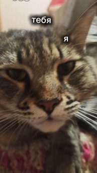 .?...................